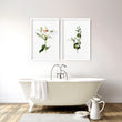 Art for the bathroom wall | set of 2 Floral wall art prints