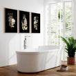 Classy bathroom wall art uk | set of 3 wall art prints