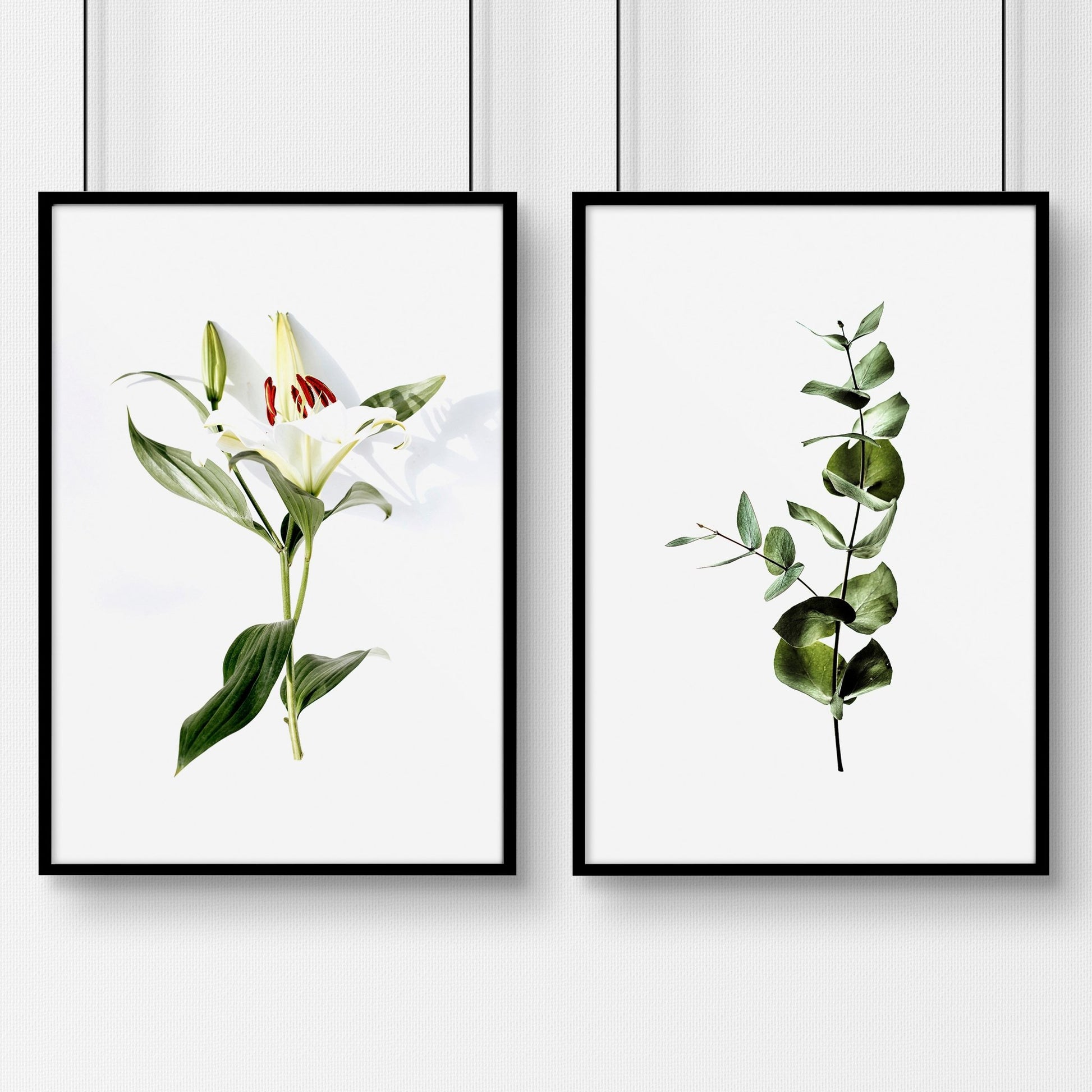Botanical art prints - Gallery wall set of 2 - About Wall Art