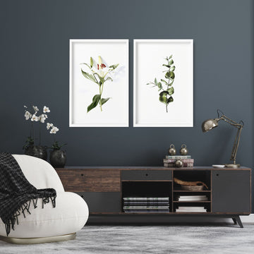 Botanical wall art prints | Set of 2 wall art prints