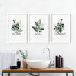 Set of botanical prints for bathroom | Set of 3 wall art