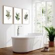 Framed art for bathroom | set of 3 Green Botanical wall art