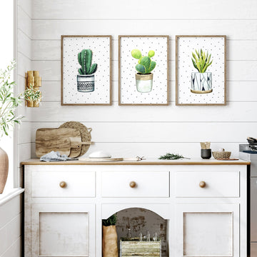 succulents in the kitchen Wall pictures for Kitchen