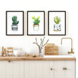 Kitchen wall art | set of 3 Succulents prints