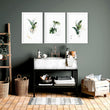 Pictures for bathroom walls | set of 3 wall art