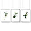 Pictures for bathroom walls | set of 3 wall art