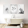 Modern bathroom wall decor ideas | Set of 3 wall art prints