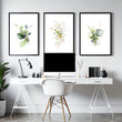 Botanical print framed | set of 3 wall art for home office decor