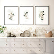 Shabby Chic Floral art for the kitchen | set of 3 art prints - About Wall Art