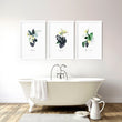 Decoration for bathroom walls | Set of 3 Tropical wall art