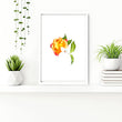 Framed wall art for Bathrooms | set of 3 wall art prints