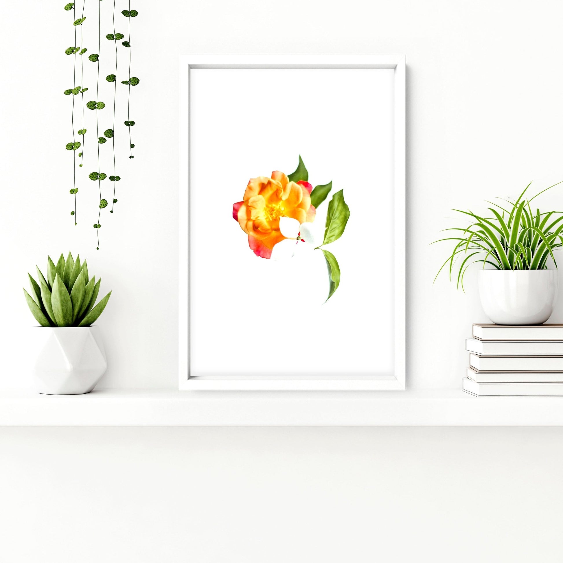 Framed wall art for Bathrooms | set of 3 wall art prints